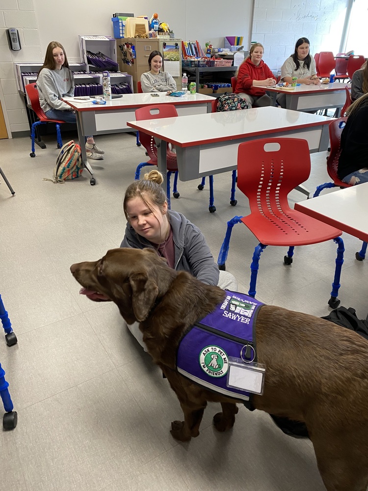 Therapy Dog Visits BHHS!